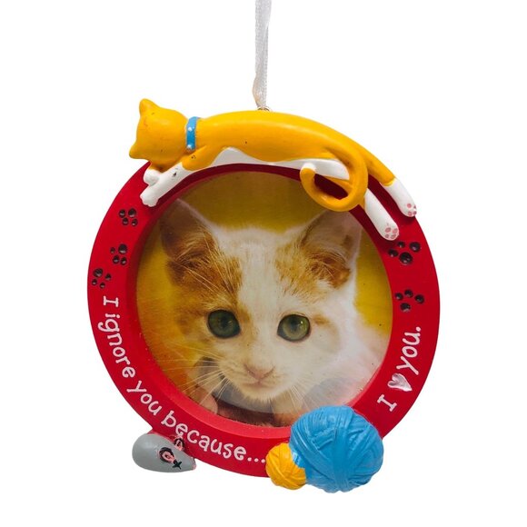 Hallmark Christmas Tree Ornament I Ignore You Because I Love You Cat Photo Frame - Picture 1 of 2